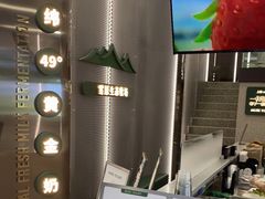 -茉酸奶(春熙路店)