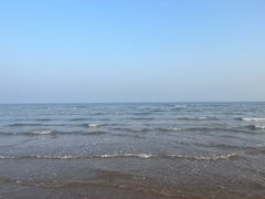 -日照海滨国家森林公园