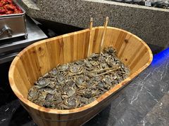 -初色海鲜自助(万丰路店)