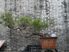 -梁园