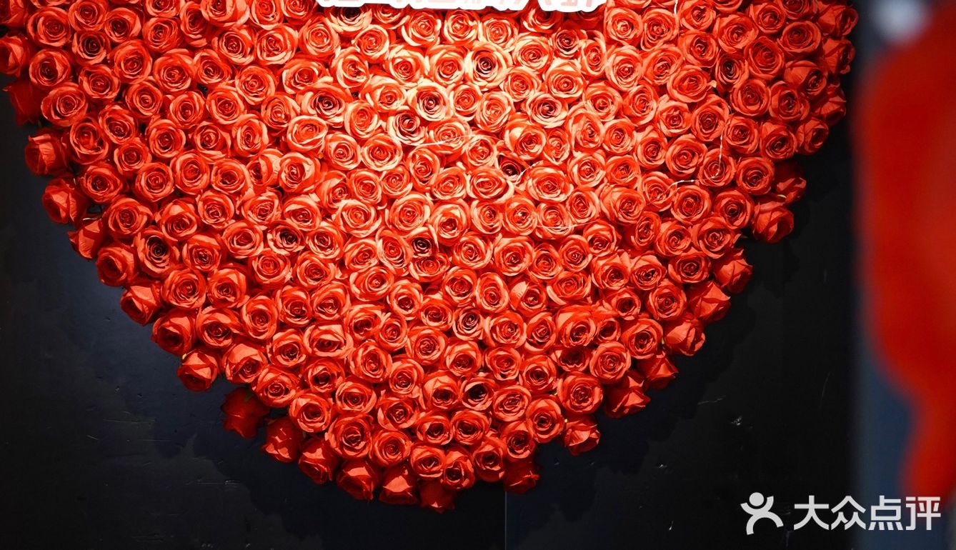 松哥第一铲回归啦😋小澳龙自由太爽了🦞