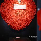 松哥第一铲回归啦😋小澳龙自由太爽了🦞