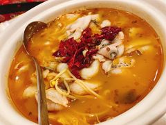 老坛黄金酸菜鱼-蜀腾川·火锅鱼.烤鱼(新世界城店)