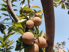 -中国移动南方基地