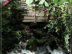 -藏龙百瀑风景区