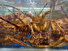 -盒马鲜生(顺义店)