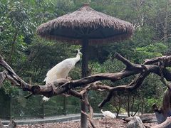 -珠海长隆海洋王国
