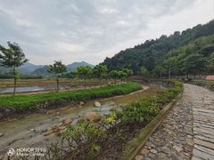 -福建土楼（华安）旅游区•大地土楼群