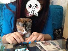 -Sirena海妖日咖夜酒