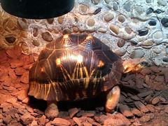 android_upload_pic-上海大自然野生昆虫馆