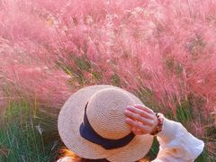 -艾溪湖湿地公园