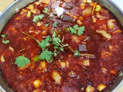 -西北莜面村(太原店)