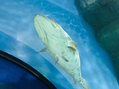 -福州罗源湾海洋世界旅游区