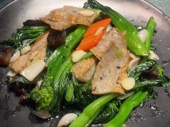 -老伙记海鲜码头(北滘店)