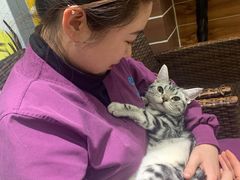 -美联众合宠物医院·爱萌分院·内外科·猫科中心