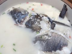 -全乐鱼馆·淳牌有机鱼直营店