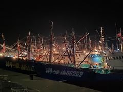 -枸杞岛