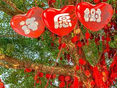 -温州乐园