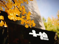 -徐家汇源景区-衡山坊