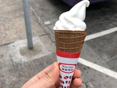 -富豪雪糕车流动点(尖沙咀店)