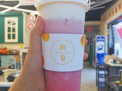 -树夏(建设路店)