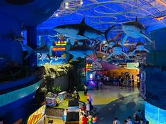 -烟台海昌鲸鲨海洋公园