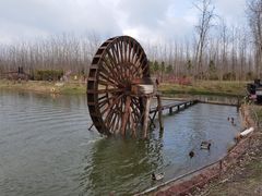 -合肥滨湖国家森林公园