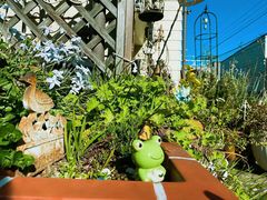 -成都濑川外国语学校