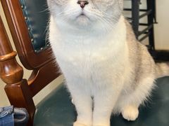 -猫小院猫主题餐厅(南锣旗舰店)