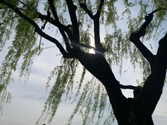 -杭州西湖柳莺里酒店·闻莺厅