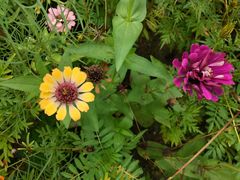 -白鹭湾湿地公园