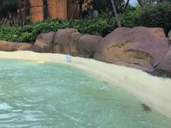 -杭州开元森泊度假乐园