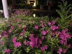 -深业半汤御泉庄温泉