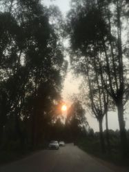-钉格