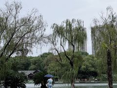 -新洲生态园
