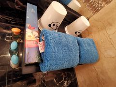 -成都保利公园皇冠假日酒店(熊猫基地店)
