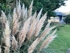 -横滨红砖仓库1号馆