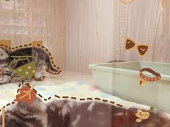 -屋虎猫馆(宝安大仟里店)