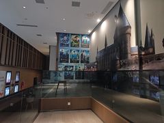 -深影国际影城(学院南路店CGS中国巨幕店)