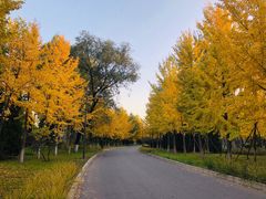 -中家鑫园温泉酒店鑫悦汤泉