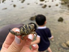 -JW万豪厨房餐厅·滨海草坪烧烤·海鲜·海景(三亚绿发山海天JW万豪酒店)