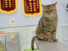-纳吉亚猫专科动物医院博雅分院