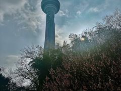 -南京古林公园