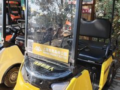 -共青国家森林公园-南大门停车场