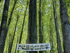 -林间山庄