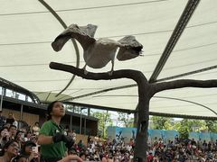 -新加坡飞禽公园
