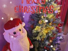 -Uncle Kosto科斯托·中东菜