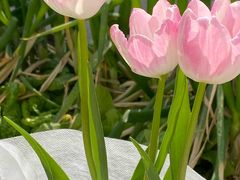 -斯卡拉演艺集团