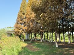 -白鹭湾湿地公园