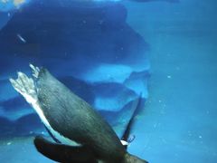 -太平洋海底世界